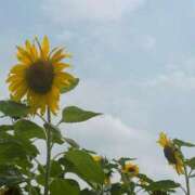 ヒメ日記 2025/07/04 18:21 投稿 ななせ CECIL