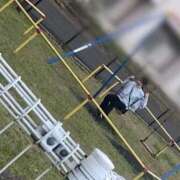 ヒメ日記 2025/07/08 15:58 投稿 ななせ CECIL