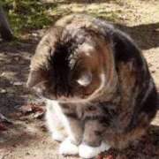 ヒメ日記 2025/01/08 18:50 投稿 メグミ Ageha(アゲハ)