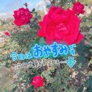 ヒメ日記 2026/05/11 09:41 投稿 ♡エマ♡ ラブ♡エル