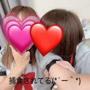 ヒメ日記 2025/08/04 18:17 投稿 ゆうか あるまぎ！