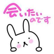 あやな♡若妻×ど素人×癒し系♡ 教えて欲しいです🫡 ぴゅあぱい＆ぷりてぃ♡ぴゅあグループ誠実すぎる風俗♡返金保証店♡八代宇土