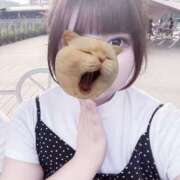 ヒメ日記 2025/06/29 20:22 投稿 ゆず♡未経験×甘えたガール♡ ぴゅあぱい＆ぷりてぃ♡ぴゅあグループ誠実すぎる風俗♡返金保証店♡八代宇土