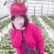 ヒメ日記 2026/02/10 22:44 投稿 ゆず♡未経験×甘えたガール♡ ぴゅあぱい＆ぷりてぃ♡ぴゅあグループ誠実すぎる風俗♡返金保証店♡八代宇土