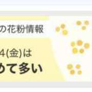 ヒメ日記 2025/03/14 21:10 投稿 松岡　みお ベルサイユの薔薇