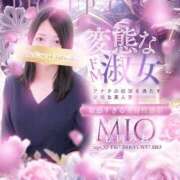 ヒメ日記 2025/08/15 17:42 投稿 松岡　みお ベルサイユの薔薇