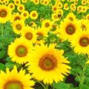 ヒメ日記 2025/02/08 23:29 投稿 ゆみ 多治見・土岐・春日井ちゃんこ