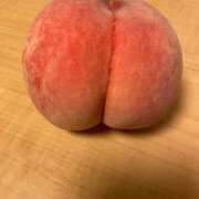 ヒメ日記 2025/08/22 08:11 投稿 ゆみ 多治見・土岐・春日井ちゃんこ