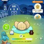 ヒメ日記 2025/09/02 19:49 投稿 ゆみ 多治見・土岐・春日井ちゃんこ