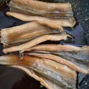 ヒメ日記 2025/11/12 13:19 投稿 ゆみ 多治見・土岐・春日井ちゃんこ