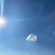 ヒメ日記 2025/11/16 13:09 投稿 ゆみ 多治見・土岐・春日井ちゃんこ