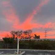 ヒメ日記 2025/11/27 17:59 投稿 ゆみ 多治見・土岐・春日井ちゃんこ