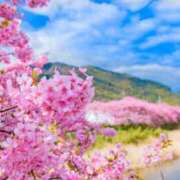 ヒメ日記 2025/04/07 16:58 投稿 本庄みおり 五十路マダム 岐阜店