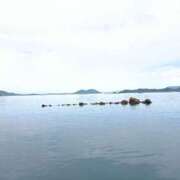 ヒメ日記 2025/06/18 15:01 投稿 水朝 美樹 SM・M性感・ニューハーフ Club EMBASSY(クラブエンバシー)岡山店