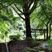 さなえ こんにちは。 熟女家 東大阪店(布施・長田)