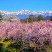 ヒメ日記 2026/01/08 10:25 投稿 さなえ 熟女家 東大阪店（布施・長田）