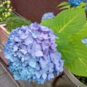 こうめ おはようございます💕 熟女デリヘル倶楽部