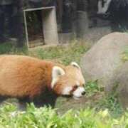 ヒメ日記 2026/10/04 08:43 投稿 こはく 逆痴漢