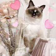 ヒメ日記 2025/05/21 18:05 投稿 りず パリス雄琴店