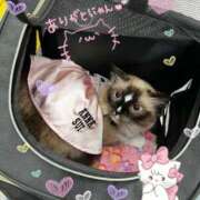 ヒメ日記 2025/08/01 16:22 投稿 りず パリス雄琴店