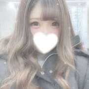 ヒメ日記 2025/02/14 15:37 投稿 まどか・ハ〇撮り動画無料 Platinum Legend(プラチナムレジェンド)