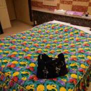 ヒメ日記 2025/06/10 17:50 投稿 わかな 成田人妻講座