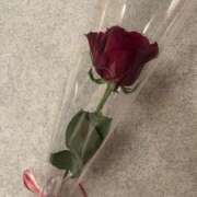 ヒメ日記 2024/12/31 00:27 投稿 今井 あなたに逢いたくて