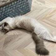 ヒメ日記 2025/02/12 01:17 投稿 今井 あなたに逢いたくて