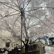 ヒメ日記 2025/03/29 14:47 投稿 今井 あなたに逢いたくて