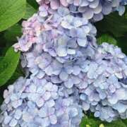 ヒメ日記 2025/05/09 15:07 投稿 今井 あなたに逢いたくて