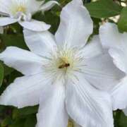 ヒメ日記 2025/05/26 18:47 投稿 今井 あなたに逢いたくて