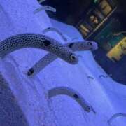 ヒメ日記 2025/09/23 22:27 投稿 今井 あなたに逢いたくて