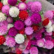 ヒメ日記 2025/11/05 16:37 投稿 今井 あなたに逢いたくて