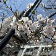 ヒメ日記 2026/03/22 19:37 投稿 今井 あなたに逢いたくて