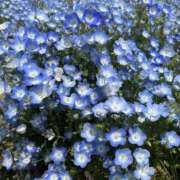 今井 昨日のお礼です♡ あなたに逢いたくて