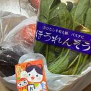 ヒメ日記 2026/01/09 17:34 投稿 明日香らな Club-Embassy