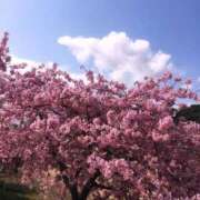 ヒメ日記 2025/03/04 10:28 投稿 小西ひなの 五十路マダムエクスプレス船橋店(カサブランカグループ)