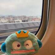 ヒメ日記 2025/03/26 11:08 投稿 小西ひなの 五十路マダムエクスプレス船橋店(カサブランカグループ)