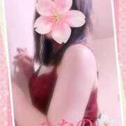 ヒメ日記 2025/03/31 00:40 投稿 小西ひなの 五十路マダムエクスプレス船橋店(カサブランカグループ)