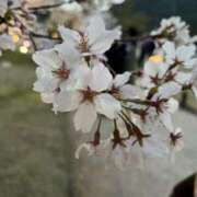 ヒメ日記 2025/04/06 23:30 投稿 小西ひなの 五十路マダムエクスプレス船橋店(カサブランカグループ)