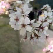 ヒメ日記 2026/03/20 01:02 投稿 小西ひなの 五十路マダムエクスプレス船橋店(カサブランカグループ)