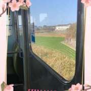 ヒメ日記 2026/03/23 08:18 投稿 小西ひなの 五十路マダムエクスプレス船橋店(カサブランカグループ)