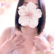 ヒメ日記 2026/04/01 10:50 投稿 小西ひなの 五十路マダムエクスプレス船橋店(カサブランカグループ)