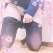 ヒメ日記 2026/04/04 09:44 投稿 小西ひなの 五十路マダムエクスプレス船橋店(カサブランカグループ)