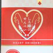 ヒメ日記 2025/02/16 21:05 投稿 かおり 人妻本舗愛のしずく名古屋店