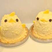 ヒメ日記 2025/02/20 15:04 投稿 かおり 人妻本舗愛のしずく名古屋店