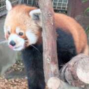 ヒメ日記 2025/03/05 20:47 投稿 かおり 人妻本舗愛のしずく名古屋店