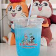 ヒメ日記 2025/03/21 14:46 投稿 かおり 人妻本舗愛のしずく名古屋店