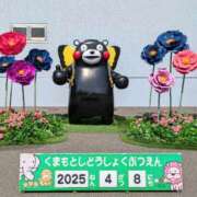 ヒメ日記 2025/04/08 15:14 投稿 かおり 人妻本舗愛のしずく名古屋店