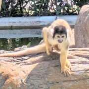 ヒメ日記 2025/04/09 12:33 投稿 かおり 人妻本舗愛のしずく名古屋店